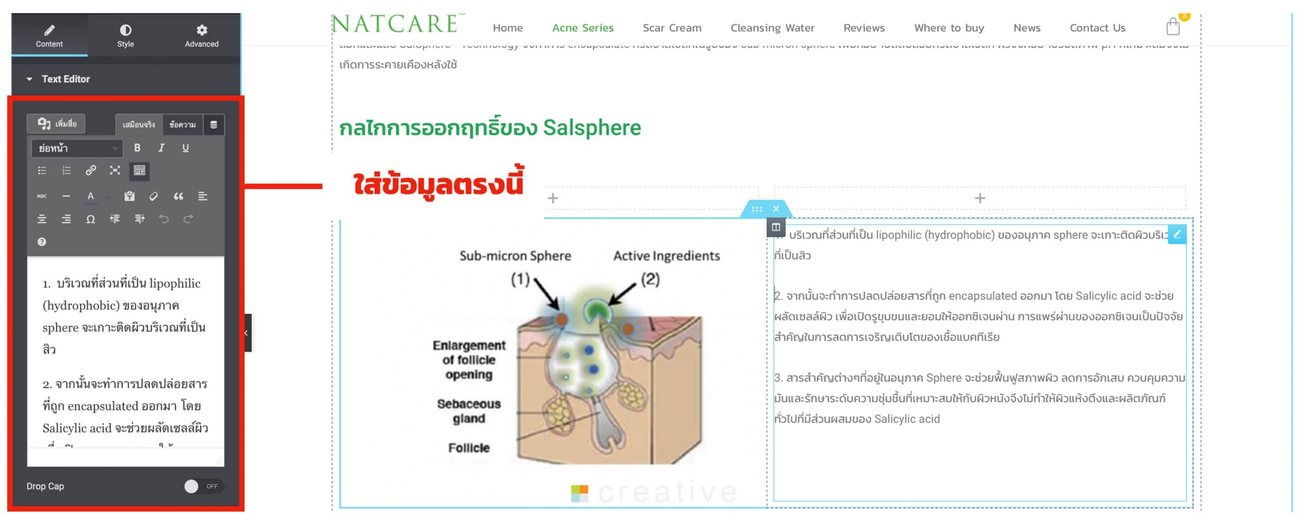 รับออกแบบเว็บไซต์ สเต็กเนื้อพันเบคอน เสิร์ฟพร้อมผักสลัดและเห็ด